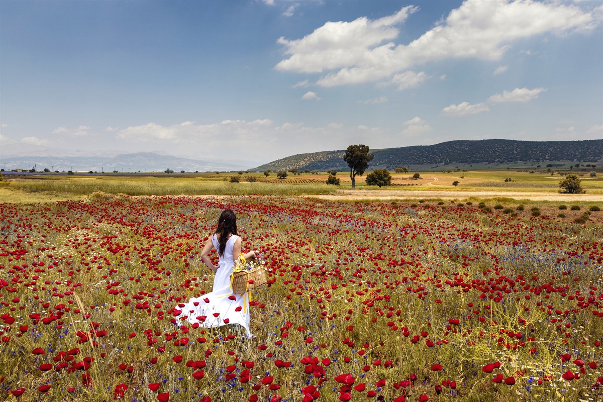🌸 ISPARTA GÜL FESTİVALİ & SALDA & PAMUKKALE TURU