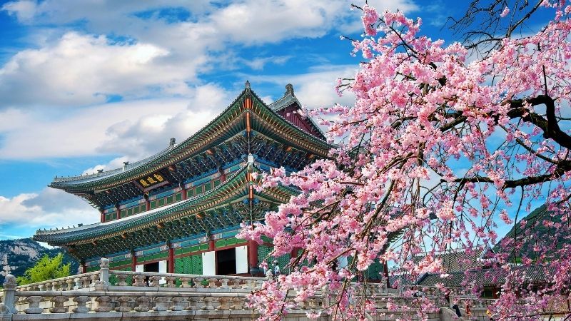 MEGA JAPONYA & GÜNEY KORE TURU